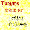 Turnips stole my lawnmower